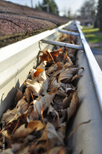 Home maintenance: Fall leaves in rain gutter.
