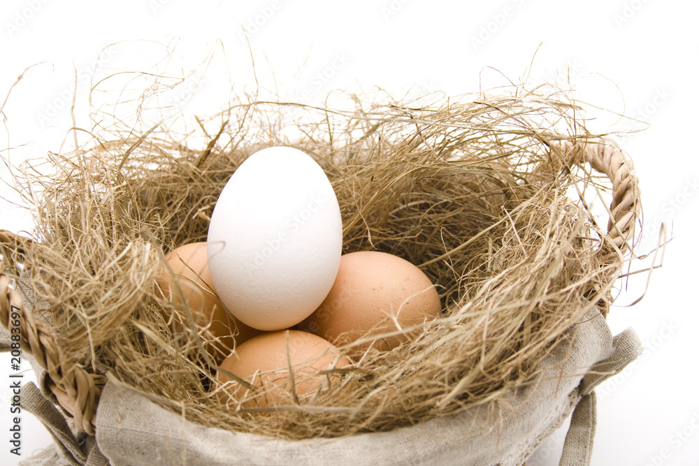 Eierkorb Eierkorb