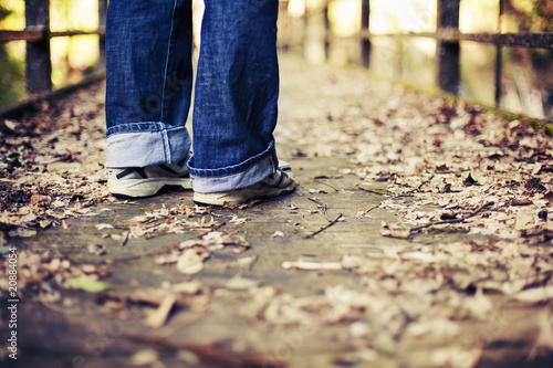 Autumn scene with a person walking in the forest