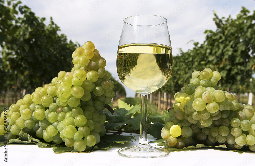 Weißwein und Weintrauben