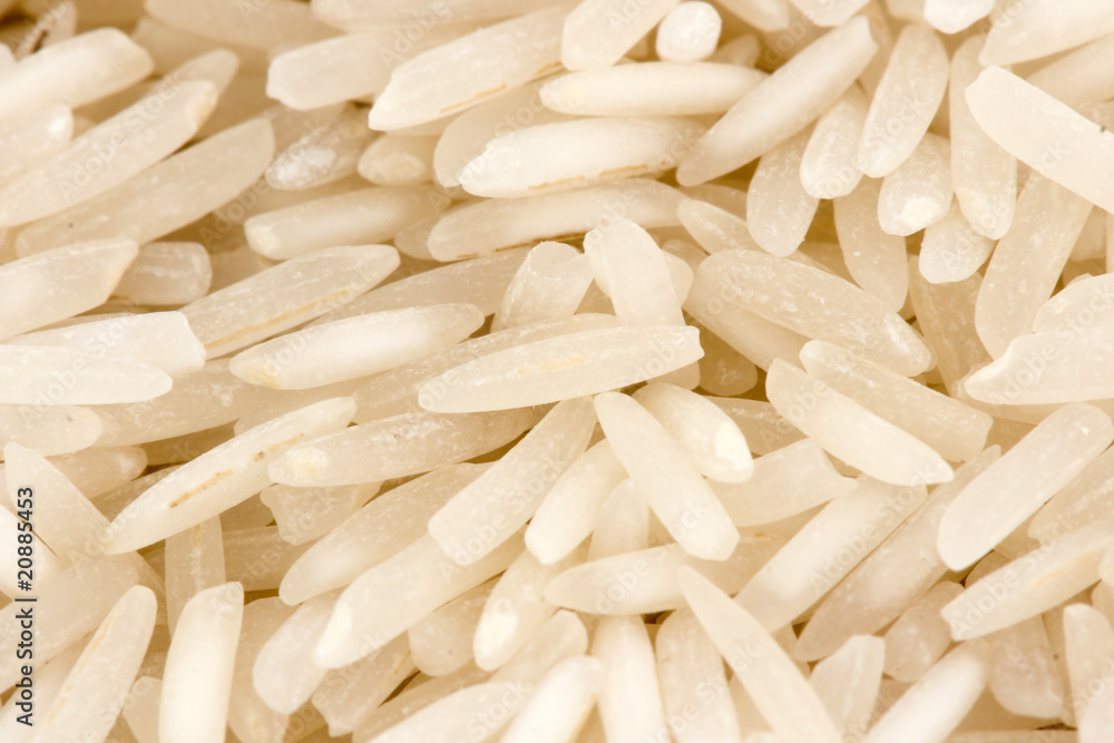 Rice Rice