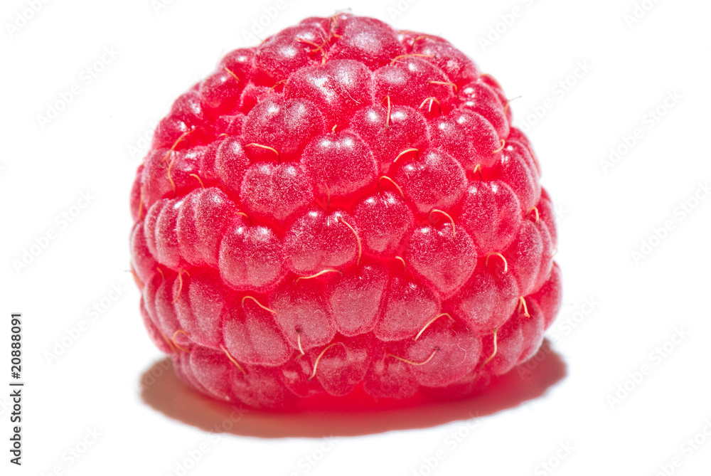 raspberry raspberry