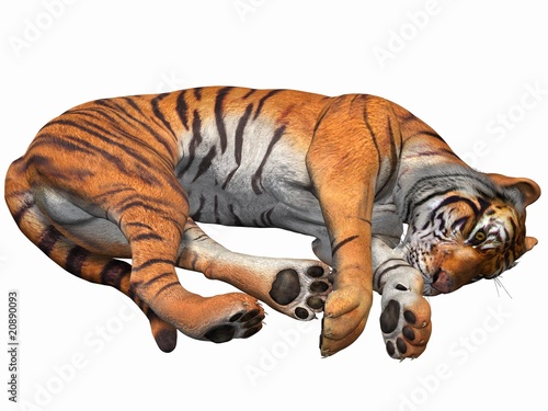 Tiger