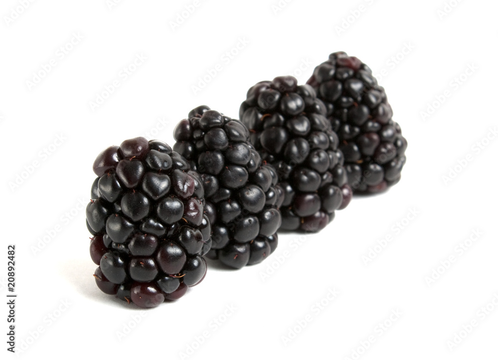 blackberry blackberry