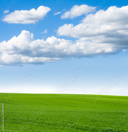 Landscape grass sky