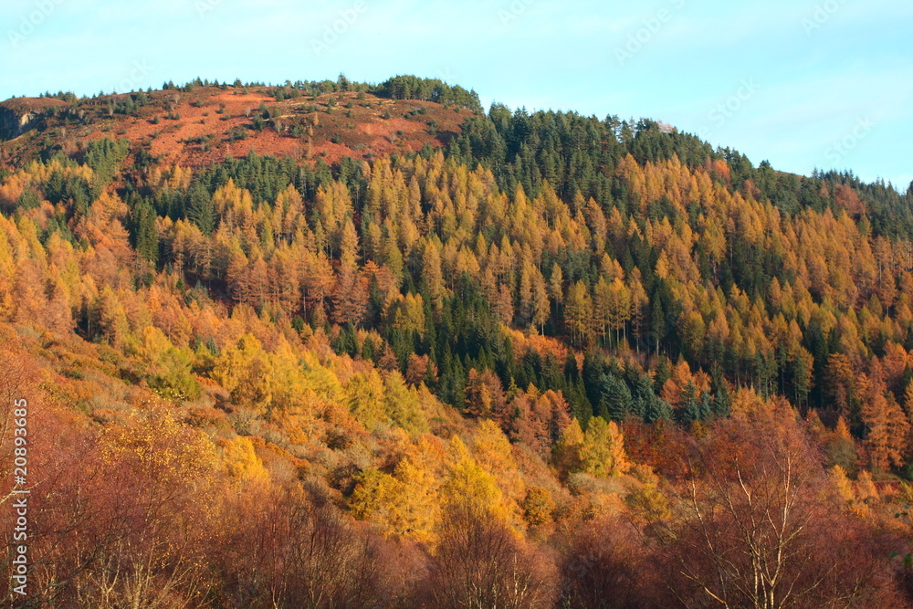 Autumnal hills of Scotland