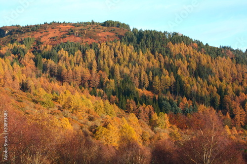 Autumnal hills of Scotland