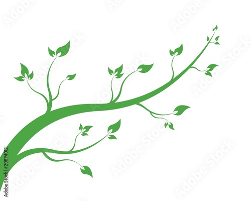 Εκτύπωση καμβά branch vegetate - isolated on background