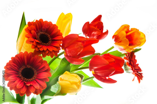 Fototapeta Naklejka Na Ścianę i Meble -  Frühlingsblumen