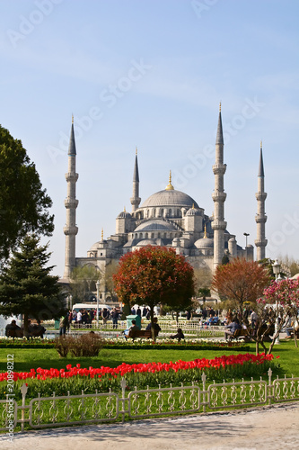 Photography Blue mosque