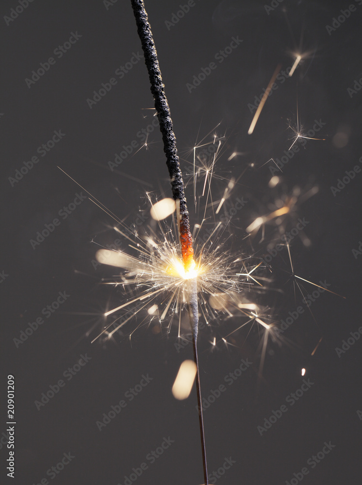 Fototapeta premium Sparkler