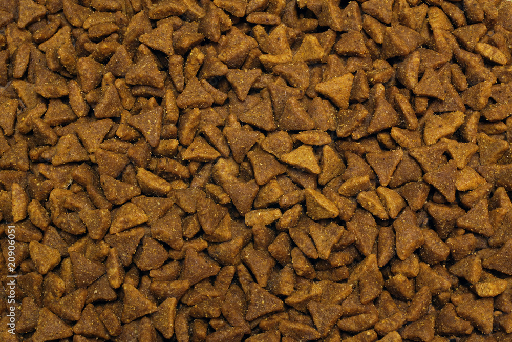 dry cat food dry cat food