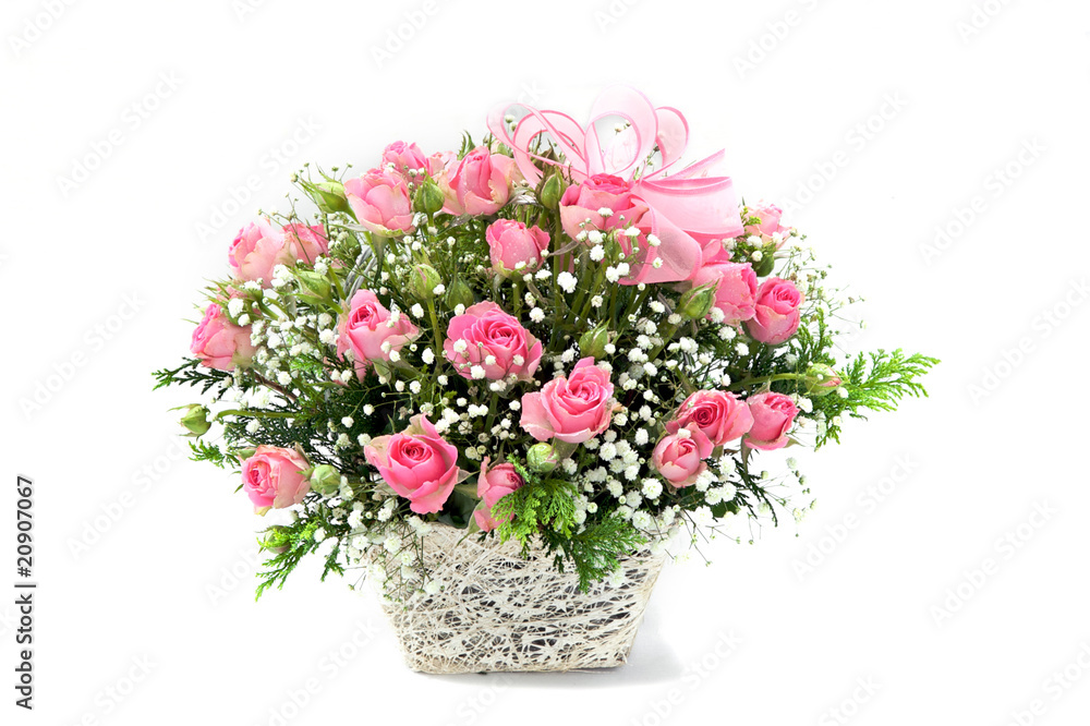 pink roses in a basket on white background