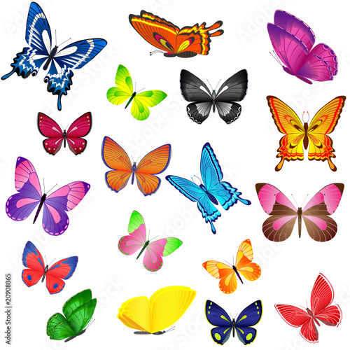 Set of different colored butterflies