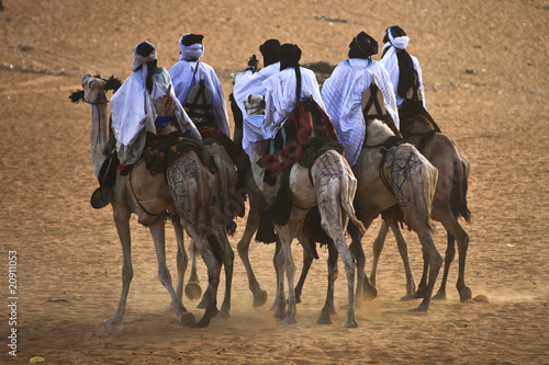 Festival Tamadacht au Mali