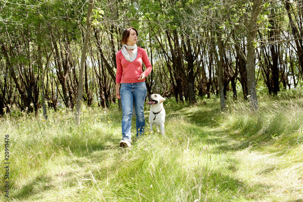 In the forest In the forest