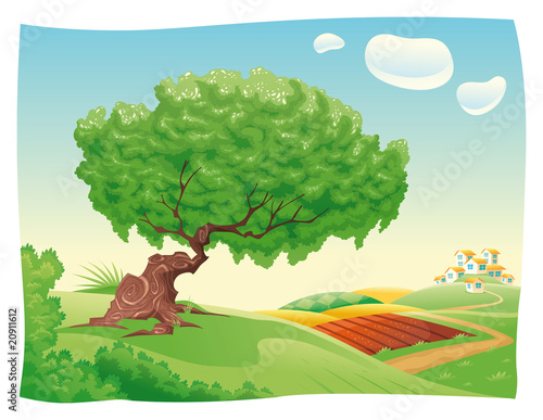 Countryside. Vector and cartoon landscape.
