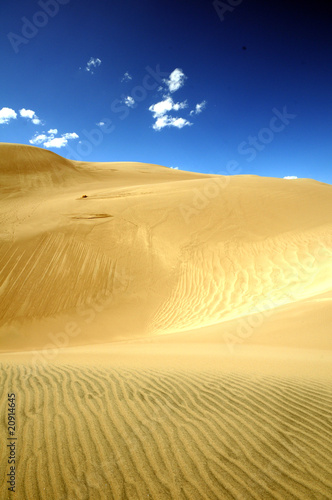 Fototapeta Naklejka Na Ścianę i Meble -  desert