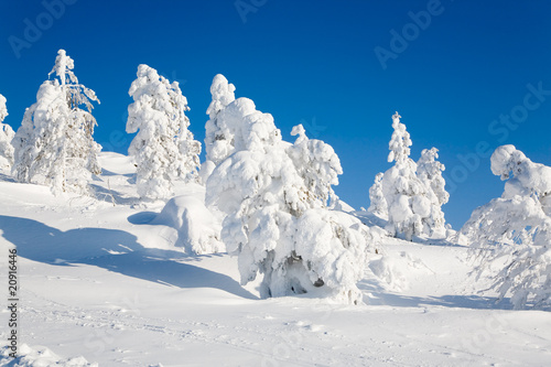 Lapland Finland