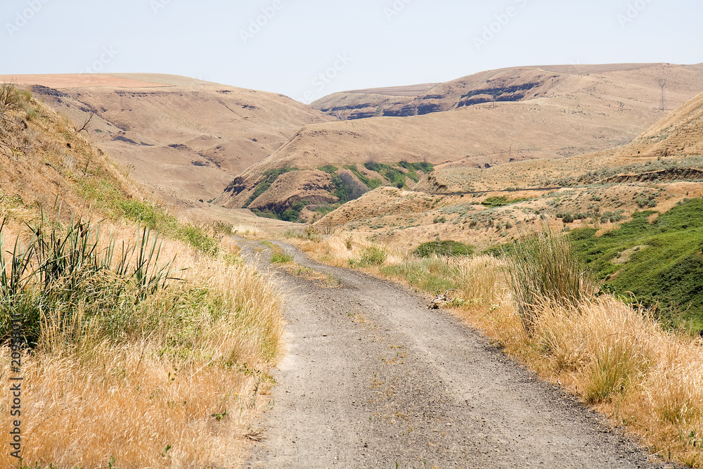 Road in the Desert
