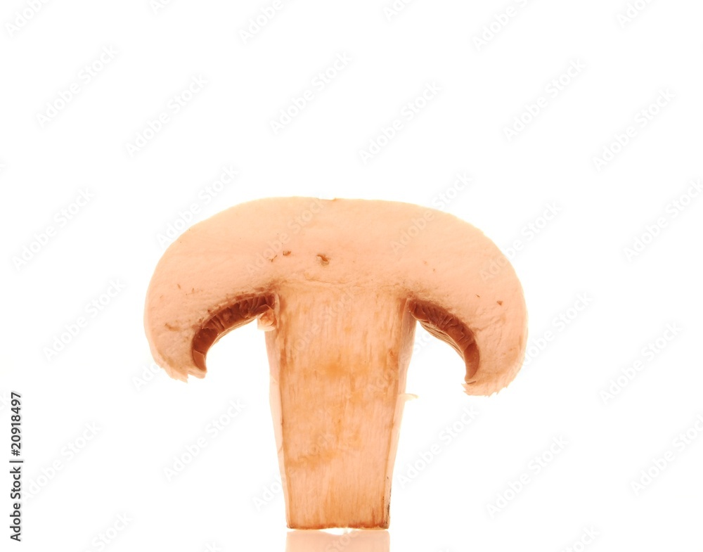 Fototapeta premium pieczarka 1