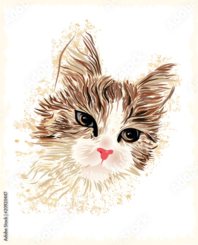 vintage portrait of the cat