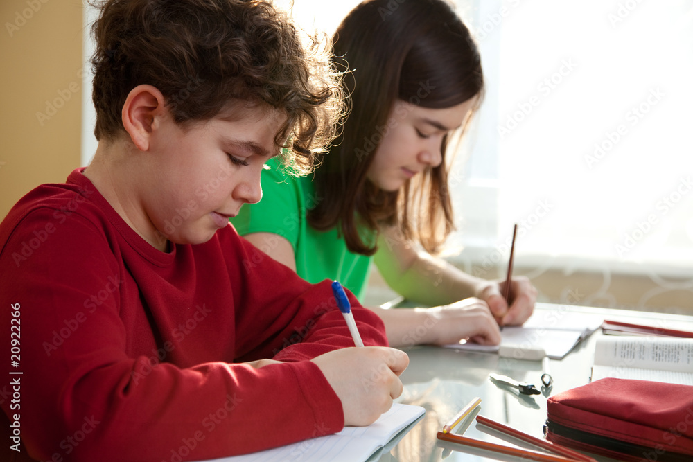 Young girl and boy learning