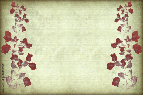 Red bougainvillea branch with frame