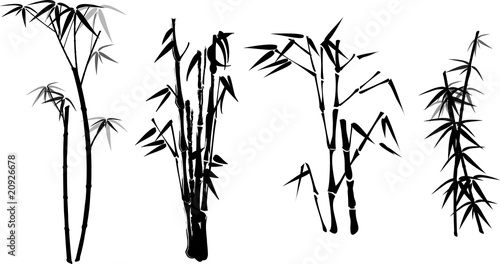 Fototapeta Naklejka Na Ścianę i Meble -  bamboo twigs