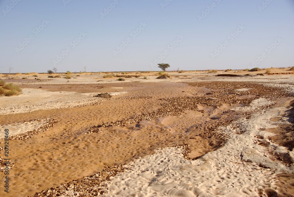 Oued dans le desert de Libye