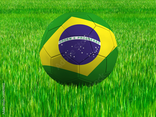 WM Football Brasilien