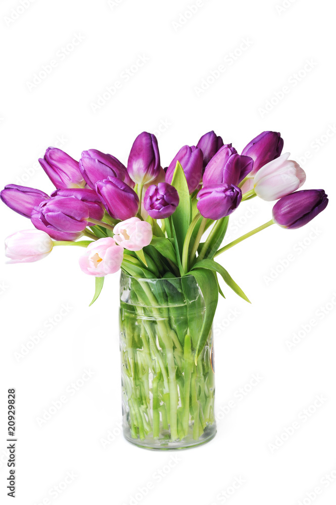 tulips in glass vase tulips in glass vase