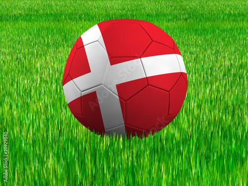 WM Football Dänemark