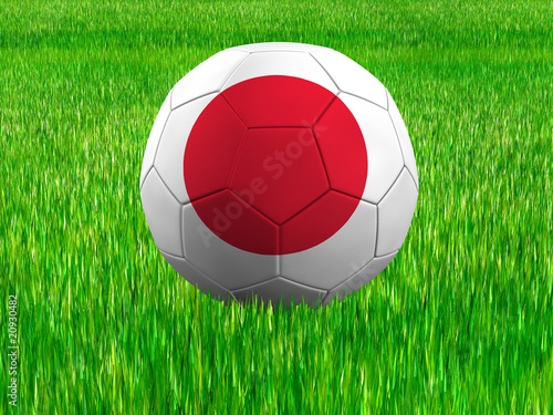 WM Football Japan