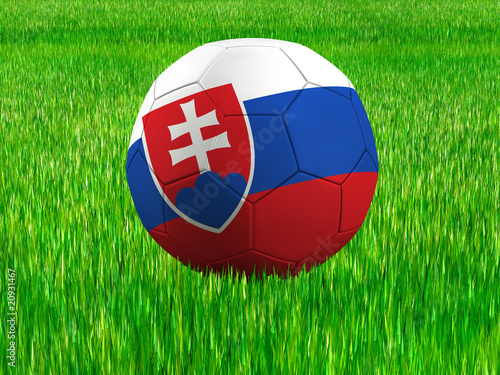WM Football Slowakei