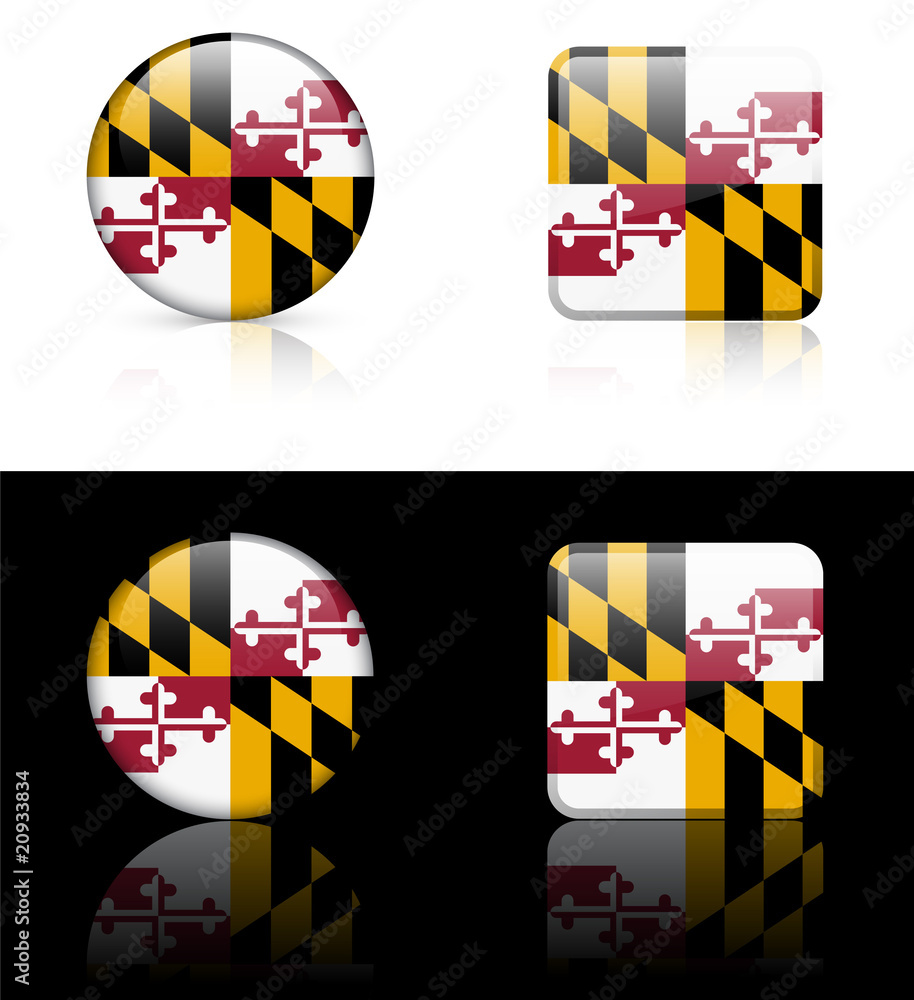 Maryland Flag Icon on Internet Button