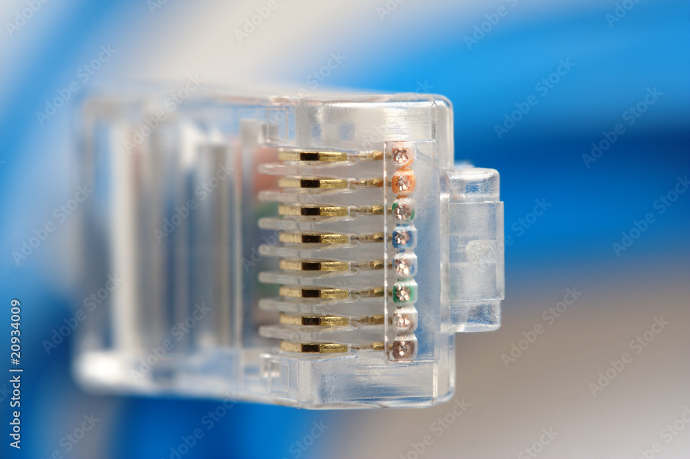 Macro of RJ45 Network Connection Plug Macro of RJ45 Network Connection Plug