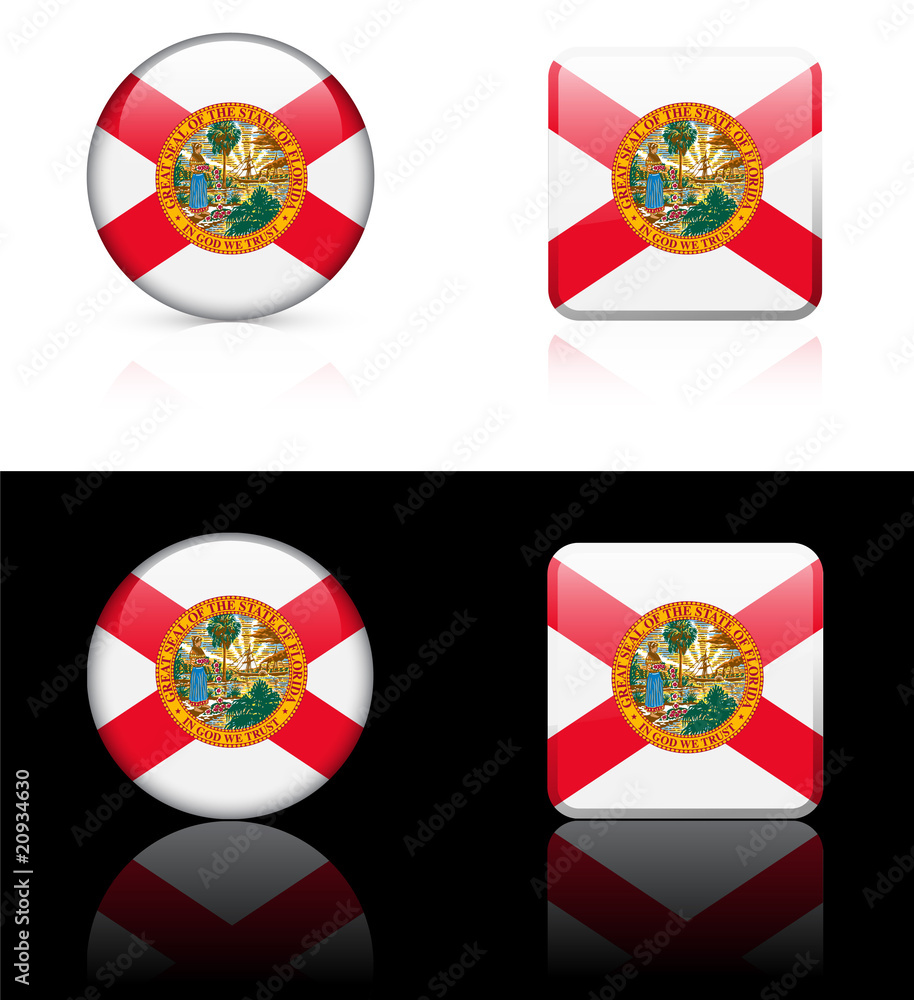 Florida Flag Icon on Internet Button Florida Flag Icon on Internet Button