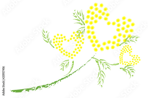 Rami di mimosa astratti