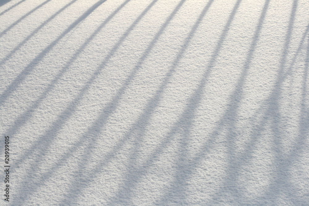 Obraz premium Shadows on snow