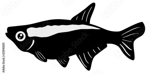 neon tetra