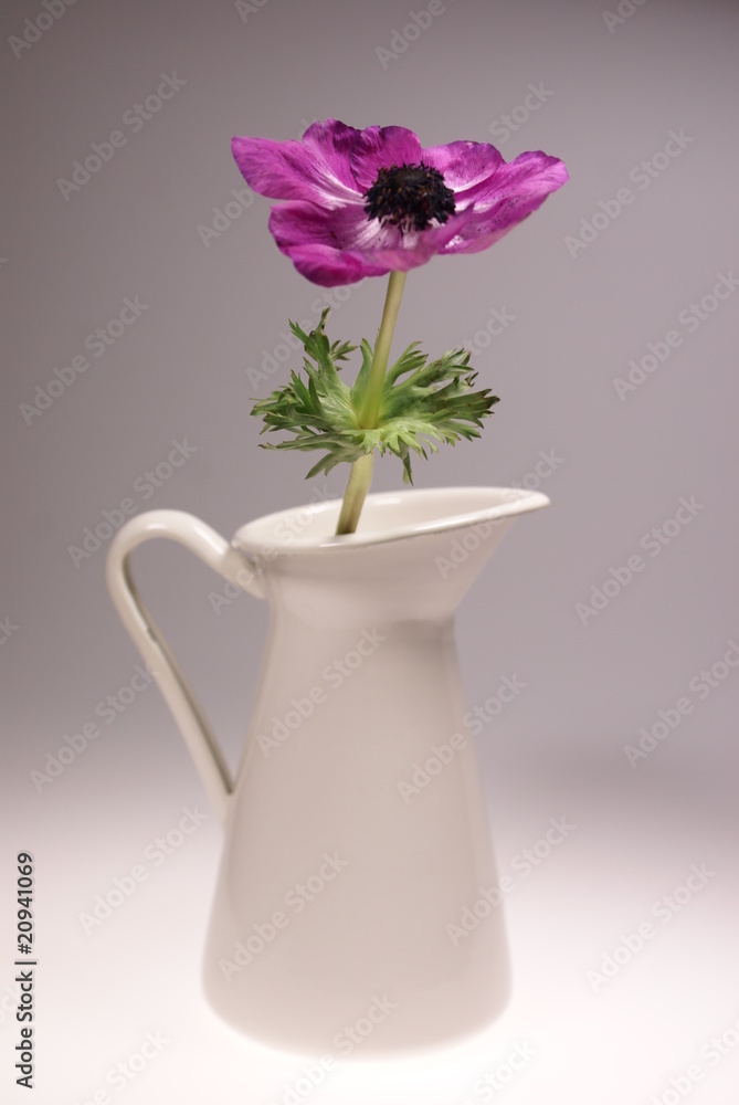Vase mit Blume