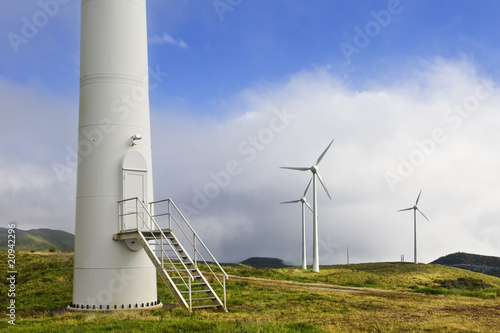 Wind tower door