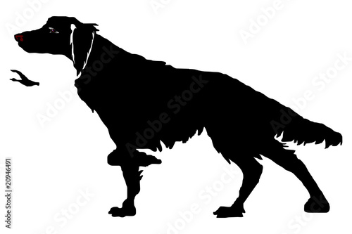 The hunting dog in a rack, a duck, a silhouette