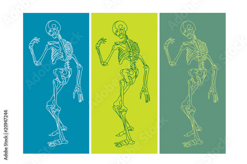 Skeletons