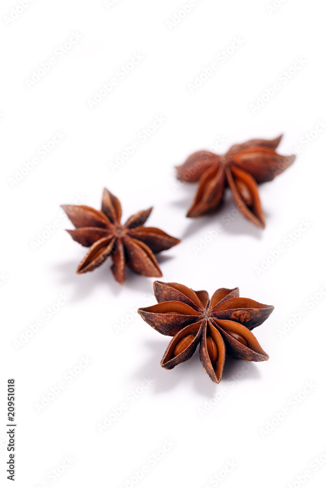 star anise star anise
