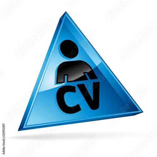 Curriculum vitae