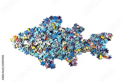 fish made from the puzzle   isolated