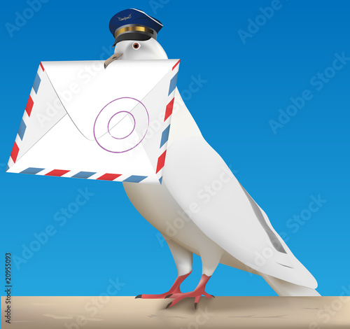 pigeon carrier