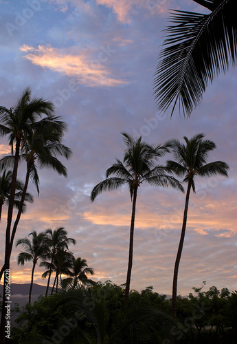 Sunrise on Maui